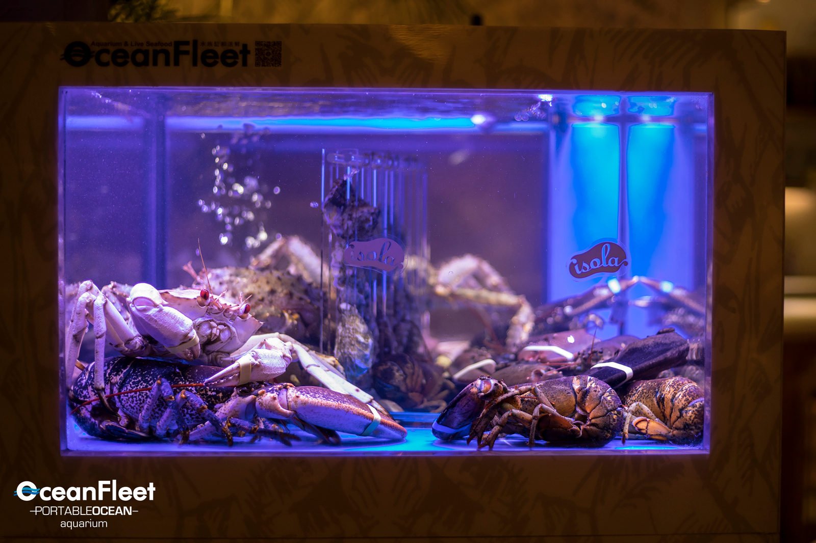 Low seafood display tank