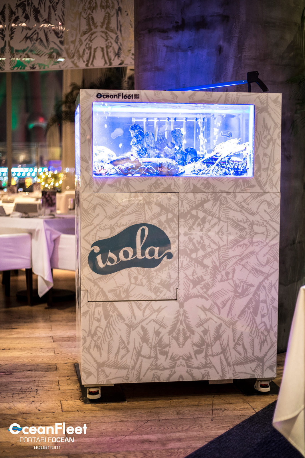 Portable Ocean tank in a dining room